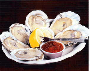 Oysters